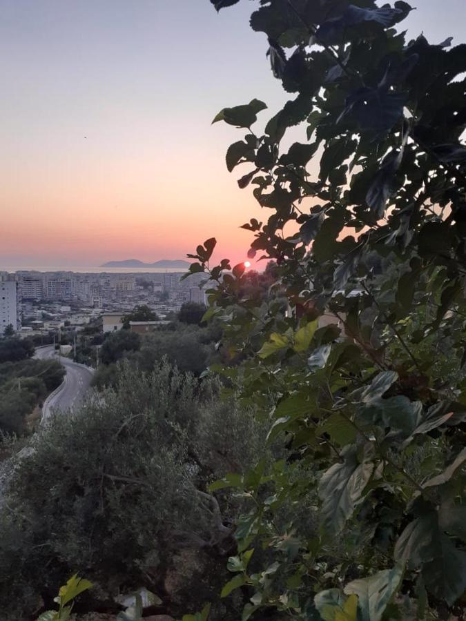Vila Oliven Vlorë Exterior foto